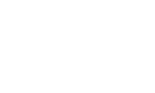 Adult Swim