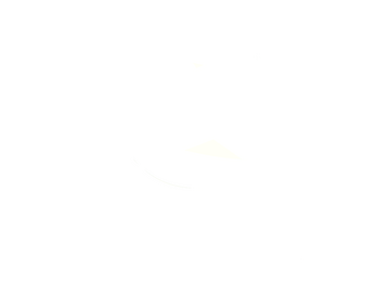 ENLACE TV